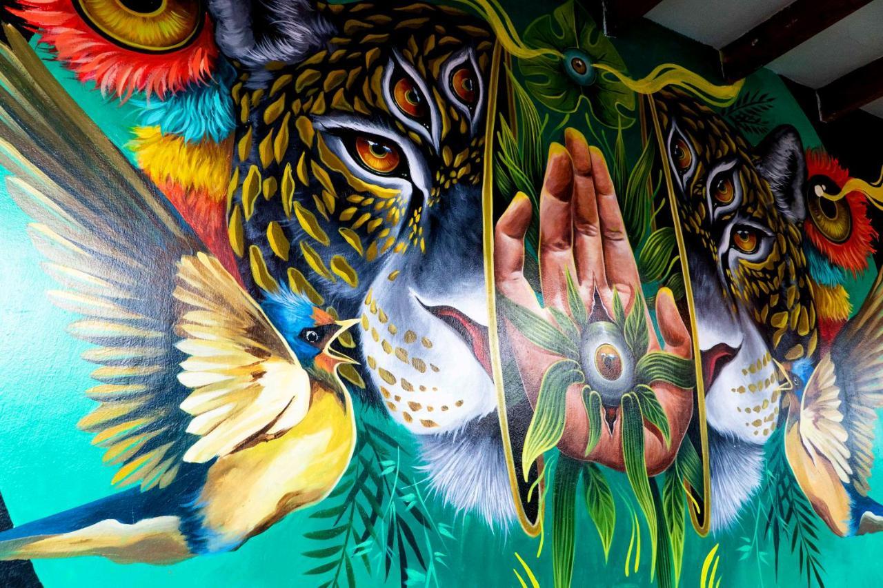 Black Llama Hostel Miraflores Лима Екстериор снимка